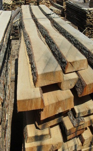 project-img-1